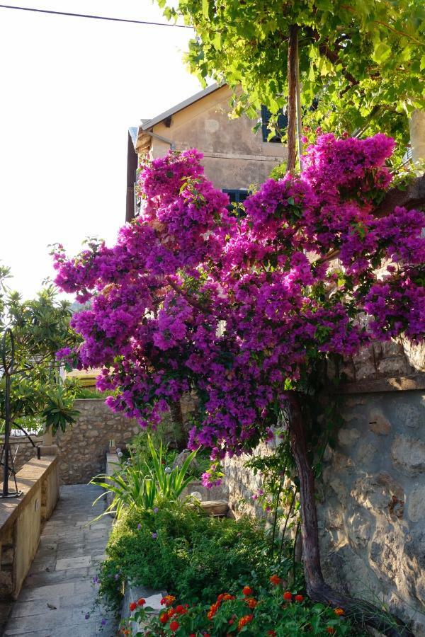 Leilighet Matilda Dubrovnik